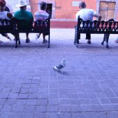  San Miguel de Allende, Mexico 2009